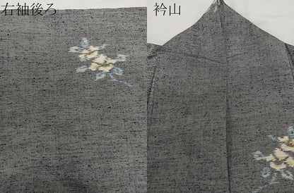 平和屋着物▽上質な紬 単衣 舞花文 正絹 逸品 CAAX2488xi