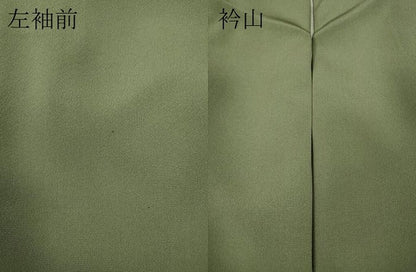 平和屋着物●豪華色留袖　駒刺繍　草花文　金彩　正絹　逸品　CAAX4411ut