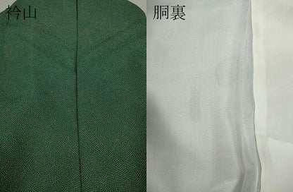 平和屋着物●訪問着　江戸小紋　霞文　鮫小紋柄　暈し染め　正絹　逸品　CAAX4426ut