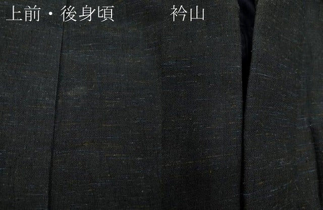 平和屋着物●男性　紬　霞文　正絹　逸品　CAAX4495ut