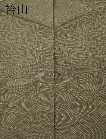 平和屋着物●訪問着 江戸小紋 霞文 鮫小紋柄 暈し染め 正絹 逸品 CAAX4560ut