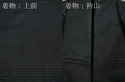 平和屋着物●男性　本場大島紬　アンサンブル　100亀甲　総詰め　正絹　逸品　CAAX4566ut