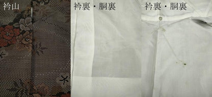 平和屋着物●本場大島紬 9マルキ 雲取り草花文 正絹 逸品 CAAX4686ut