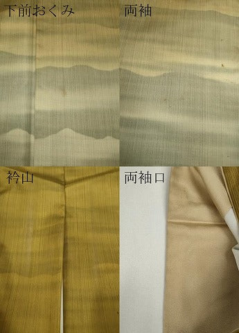 平和屋着物●訪問着 本場染大島紬 霞文 正絹 逸品 CAAX4712ut