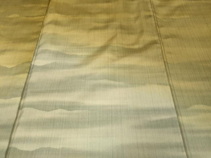 平和屋着物●訪問着 本場染大島紬 霞文 正絹 逸品 CAAX4712ut