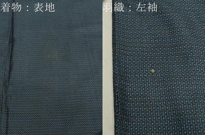 平和屋着物●男性 本場大島紬 アンサンブル 100亀甲 正絹 逸品 CAAX5734gh