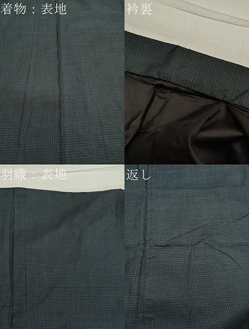 平和屋着物●男性 本場大島紬 アンサンブル 100亀甲 証紙付き 正絹 逸品 CAAX5750gh