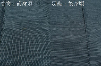 平和屋着物●男性 お召 アンサンブル 100亀甲 正絹 逸品 CAAX5751gh