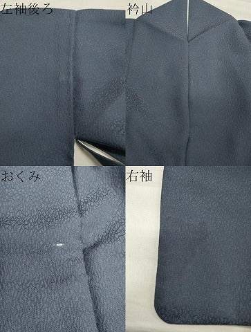 平和屋着物●訪問着 立波文 金銀彩 正絹 逸品 CAAX5847gh