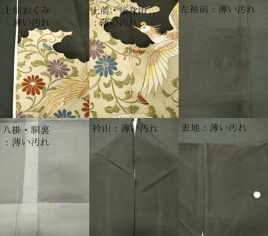平和屋着物■豪華黒留袖　刺繍　尾長鳥花唐草文　金彩　正絹　逸品　CAAX6468ou