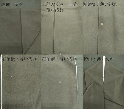 平和屋着物■豪華黒留袖　立波孔雀花文　金彩　正絹　逸品　CAAX6708ou