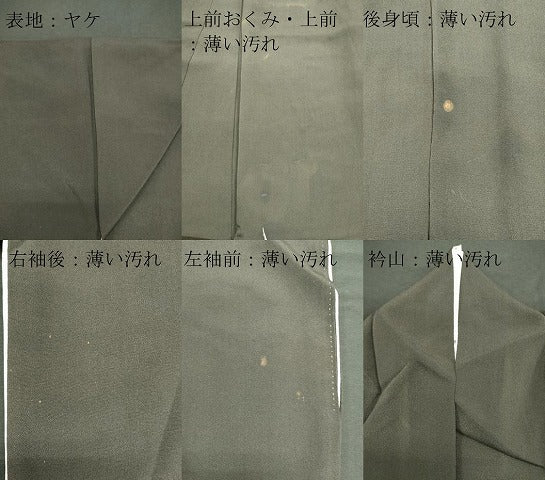 平和屋着物■豪華黒留袖　立波孔雀花文　金彩　正絹　逸品　CAAX6708ou
