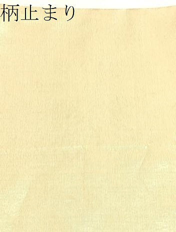 平和屋着物▼六通柄袋帯 立波草木間道 金銀糸 正絹 逸品 CAAX8703dy