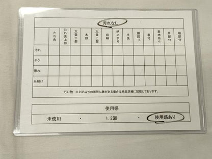 平和屋着物◎六通柄袋帯 壁画文様 正絹 逸品 CAAX9191oy