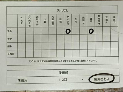 平和屋着物◎六通柄袋帯　風景文　金銀糸　正絹　逸品　CAAY0824qv