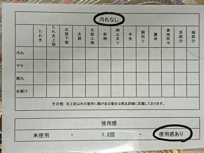 平和屋着物◎六通柄袋帯 唐織 立波文 金銀糸 正絹 逸品 CAAY0844qv