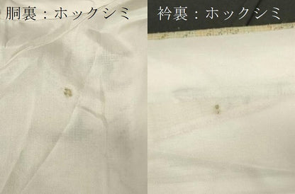 平和屋着物■上質な紬　枝葉文　正絹　逸品　CAAY2065in