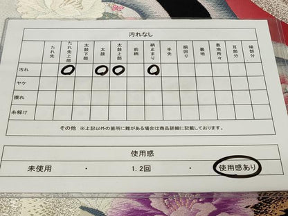 平和屋着物◎六通柄袋帯　唐織　舞蝶草花文　金銀糸　正絹　逸品　CAAY2188in