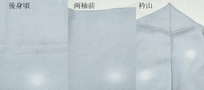 平和屋着物●上質な小紋 御召縮緬 蛍暈し 正絹 逸品 CAAY2869vf