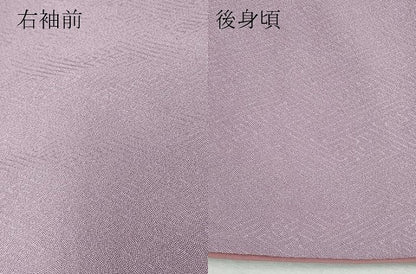 平和屋着物●江戸小紋　鮫小紋柄　紗綾形地紋　正絹　逸品　CAAY3050vf