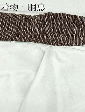 平和屋着物●男性　本塩沢　アンサンブル　蚊絣　正絹　逸品　CAAY3112vf