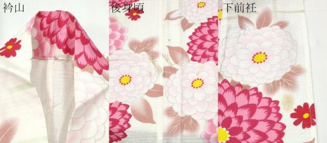 平和屋着物∴夏物 浴衣 綿紅梅 菊文 綿 逸品 CAAY4459ng