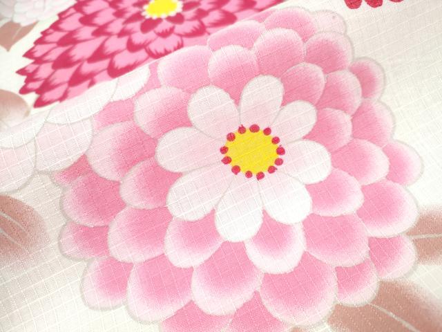 平和屋着物∴夏物 浴衣 綿紅梅 菊文 綿 逸品 CAAY4459ng