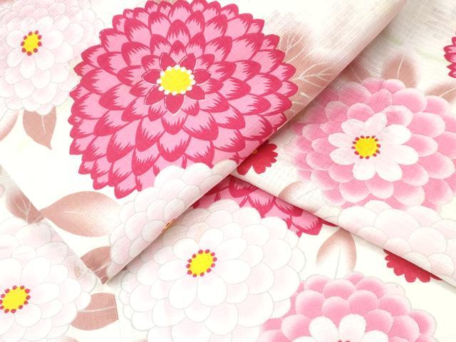 平和屋着物∴夏物 浴衣 綿紅梅 菊文 綿 逸品 CAAY4459ng