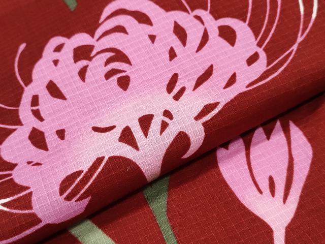 平和屋着物∴夏物 浴衣 綿紅梅 彼岸花 綿 逸品 CAAY4634ng
