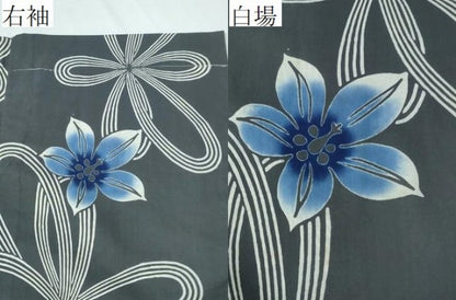 平和屋着物∴夏物 浴衣 結び紐舞花文 綿 逸品 未使用 CAAY4687ng