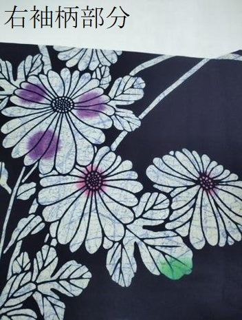 平和屋着物∴夏物 浴衣 芝草菊文 綿 逸品 CAAY4688ng