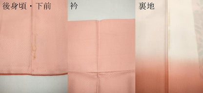 平和屋着物●訪問着　飛鶴短冊草花文　暈し染め　金彩　大丸扱い　正絹　逸品　CAAY4860ut