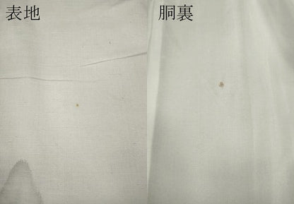 平和屋着物●訪問着　紬地　手描き　遠山風景文　正絹　逸品　CAAY4873ut