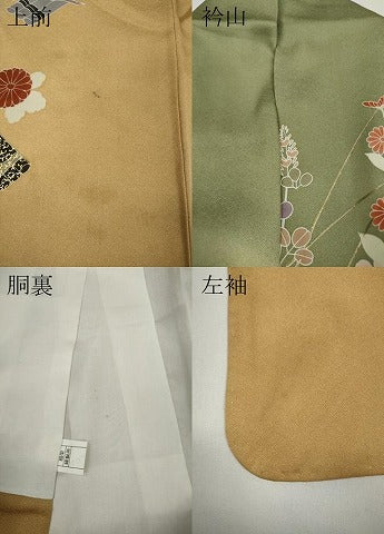 平和屋着物●訪問着　花筏　暈し染め　金銀彩　正絹　逸品　CAAY4888ut