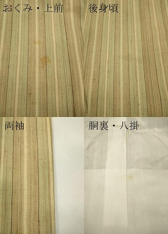 平和屋着物●上質な紬　間道　正絹　逸品　CAAY4942ut