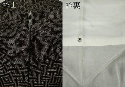平和屋着物●本場大島紬　龍郷絣　秋名バラ　正絹　逸品　CAAY4990ut