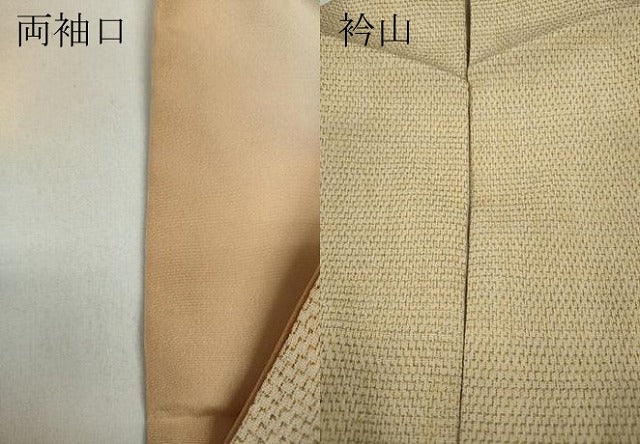 平和屋着物●本塩沢 絣文様 正絹 逸品 CAAY5020ut