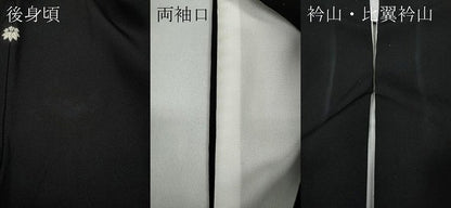 平和屋着物●豪華黒留袖　破れ色紙鶴草花文　金銀彩　正絹　逸品　CAAY5151ut