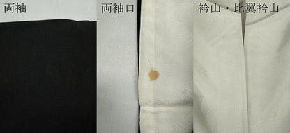平和屋着物●豪華黒留袖 作家物 藤 金彩 正絹 逸品 CAAY5178ut