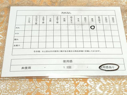 平和屋着物◎六通柄袋帯　天井花鳥文　銀糸　正絹　逸品　CAAY7309th