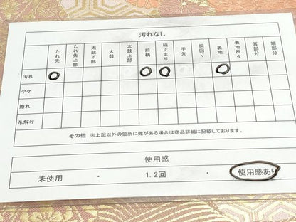 平和屋着物◎六通柄袋帯　唐織　草花文　金銀糸　正絹　逸品　CAAY7340th