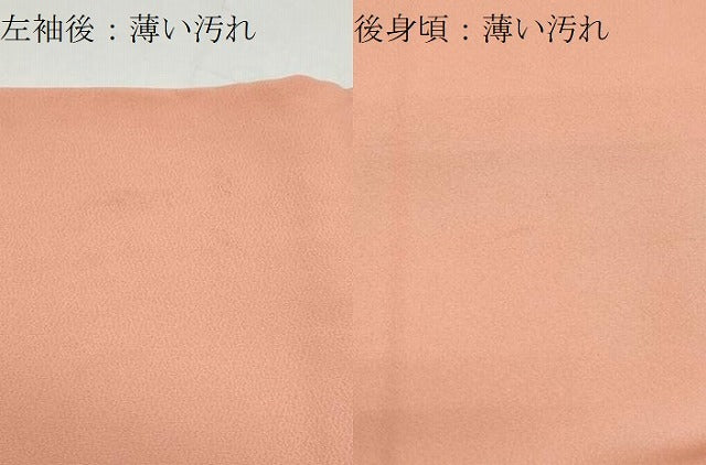 平和屋着物■豪華色留袖　都林水名勝園　甚三紅色　正絹　逸品　CAAY7531th
