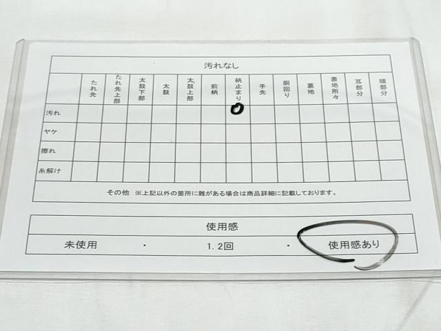 平和屋着物◎六通柄袋帯　草花文　銀糸　正絹　逸品　CAAY7785fb
