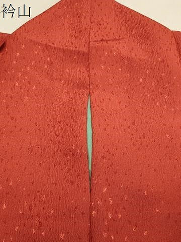 平和屋着物●小振袖　二尺袖　孔雀花文　丹色　金銀彩　洗える着物　CAAY8171gh