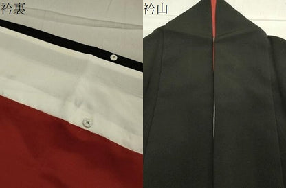 平和屋着物●華道家　楠目ちづ　訪問着　枝花文　黒地　鬼しぼ縮緬　正絹　逸品　CAAY8211gh