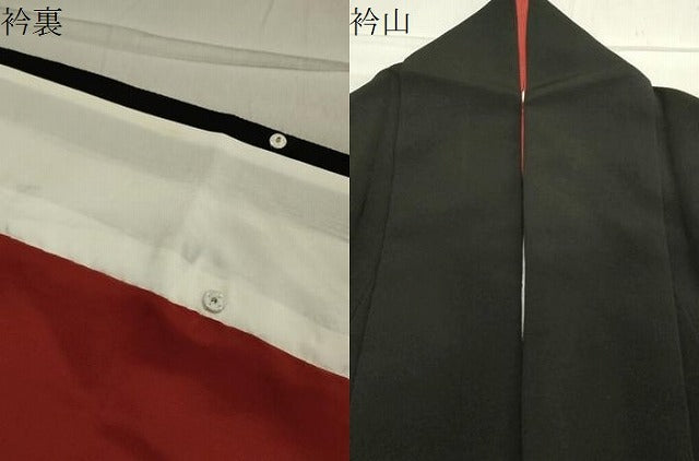平和屋着物●華道家　楠目ちづ　訪問着　枝花文　黒地　鬼しぼ縮緬　正絹　逸品　CAAY8211gh