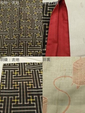 平和屋着物●本場大島紬 龍郷絣 秋名バラ アンサンブル 正絹 逸品 CAAY8217gh