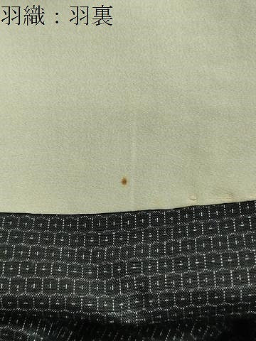平和屋着物●男性　本場大島紬　アンサンブル　80亀甲　総詰め　正絹　逸品　CAAY8361gh