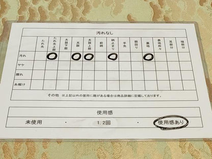 平和屋着物◎六通柄　本袋帯　枝松文　金糸　正絹　逸品　CAAY8859in