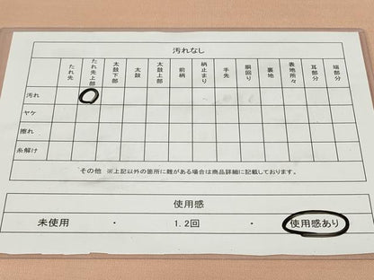 平和屋着物◎太鼓柄袋帯 すくい織 扇面鴛鴦花文 金銀糸 正絹 逸品 CAAY8939in